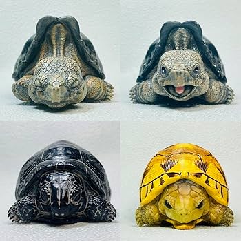 猫とカメの楽器フィギュア4体セット Amazon.co.jp: 動物星球フィギュア 亀コンプリートセット : おもちゃ